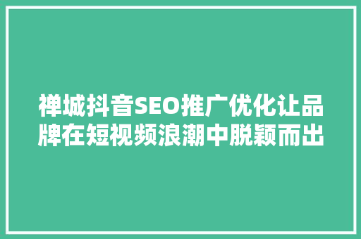 禅城抖音SEO推广优化让品牌在短视频浪潮中脱颖而出