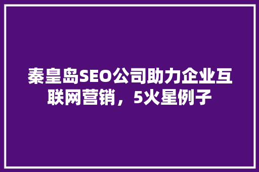 秦皇岛SEO公司助力企业互联网营销，5火星例子  第1张