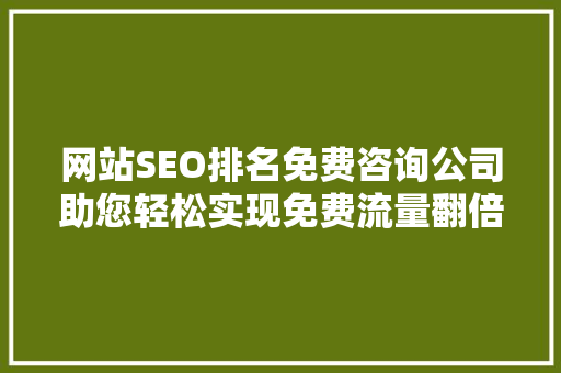 网站SEO排名免费咨询公司助您轻松实现免费流量翻倍