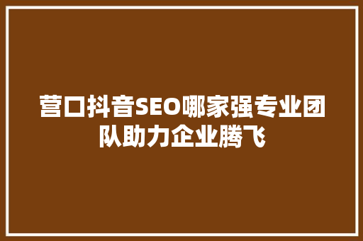 营口抖音SEO哪家强专业团队助力企业腾飞