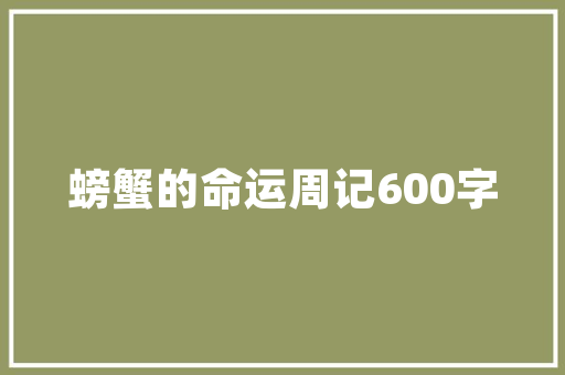 ASP搜索技术在现代网络环境中的应用与挑战
