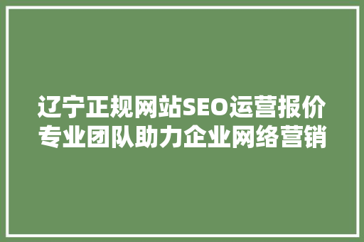 辽宁正规网站SEO运营报价专业团队助力企业网络营销