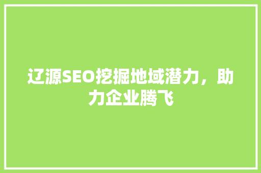 辽源SEO挖掘地域潜力，助力企业腾飞