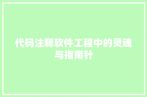 代码注释软件工程中的灵魂与指南针