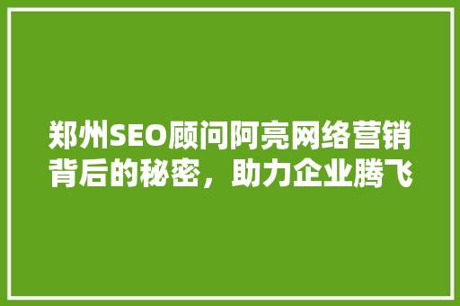 郑州SEO顾问阿亮网络营销背后的秘密，助力企业腾飞