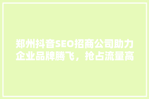 郑州抖音SEO招商公司助力企业品牌腾飞，抢占流量高地