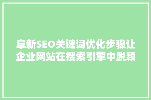 阜新SEO关键词优化步骤让企业网站在搜索引擎中脱颖而出