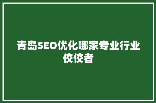 青岛SEO优化哪家专业行业佼佼者