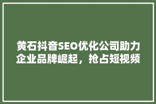黄石抖音SEO优化公司助力企业品牌崛起，抢占短视频流量高地