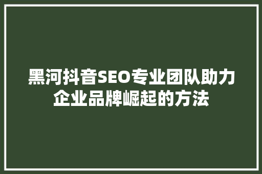 黑河抖音SEO专业团队助力企业品牌崛起的方法