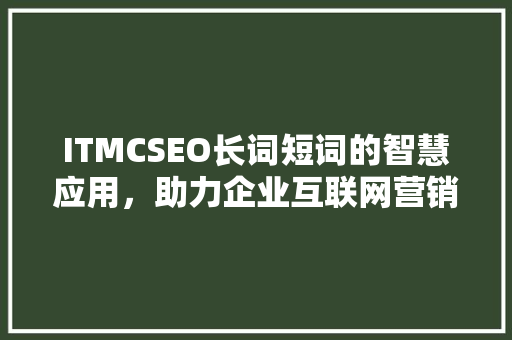 ITMCSEO长词短词的智慧应用，助力企业互联网营销