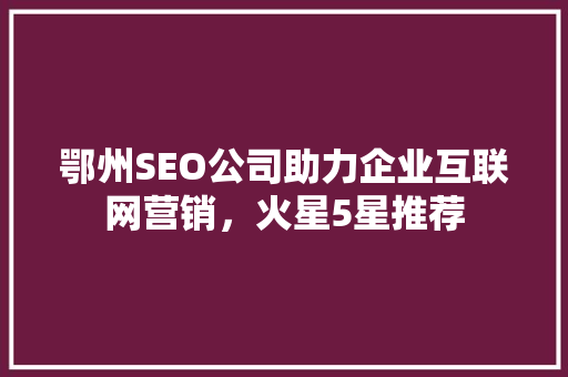 鄂州SEO公司助力企业互联网营销，火星5星推荐