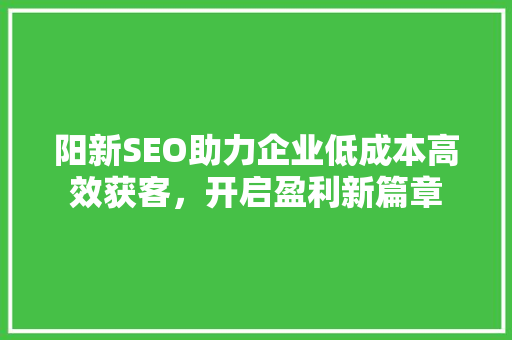 阳新SEO助力企业低成本高效获客，开启盈利新篇章