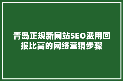青岛正规新网站SEO费用回报比高的网络营销步骤