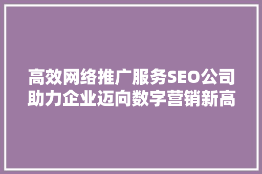 高效网络推广服务SEO公司助力企业迈向数字营销新高度
