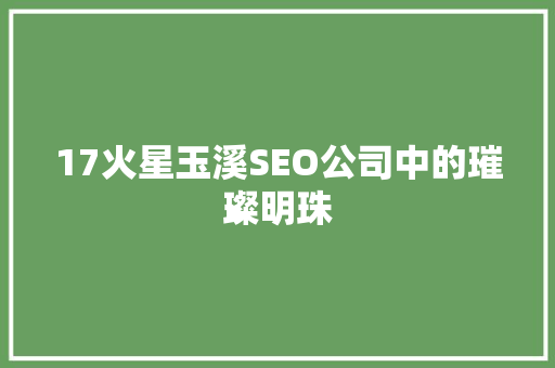 17火星玉溪SEO公司中的璀璨明珠