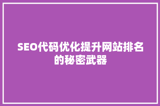 SEO代码优化提升网站排名的秘密武器