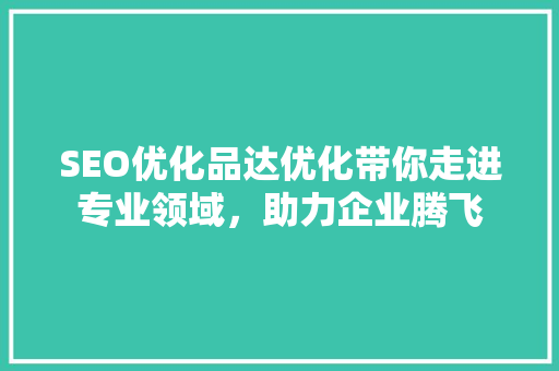 SEO优化品达优化带你走进专业领域，助力企业腾飞
