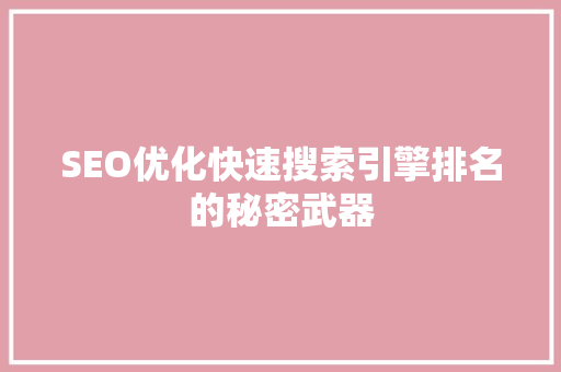 SEO优化快速搜索引擎排名的秘密武器