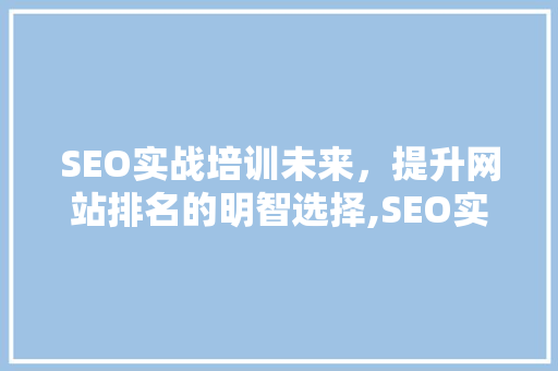 SEO实战培训未来，提升网站排名的明智选择,SEO实战培训费用及价值
