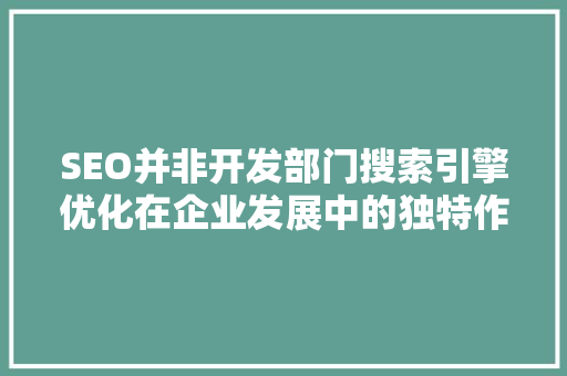 SEO并非开发部门搜索引擎优化在企业发展中的独特作用