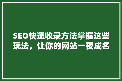 SEO快速收录方法掌握这些玩法，让你的网站一夜成名