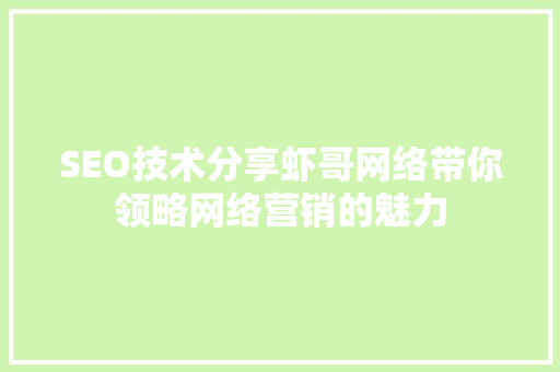 SEO技术分享虾哥网络带你领略网络营销的魅力