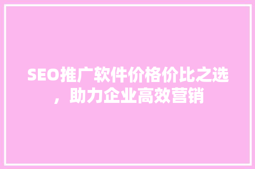 SEO推广软件价格价比之选，助力企业高效营销