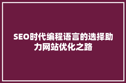 SEO时代编程语言的选择助力网站优化之路