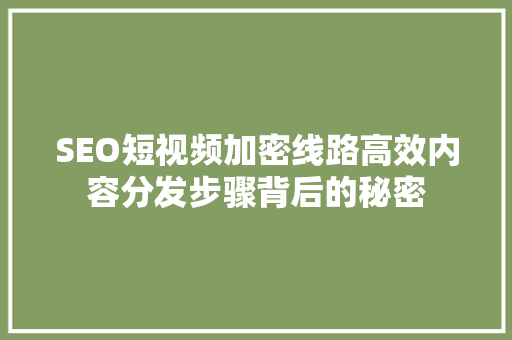 SEO短视频加密线路高效内容分发步骤背后的秘密