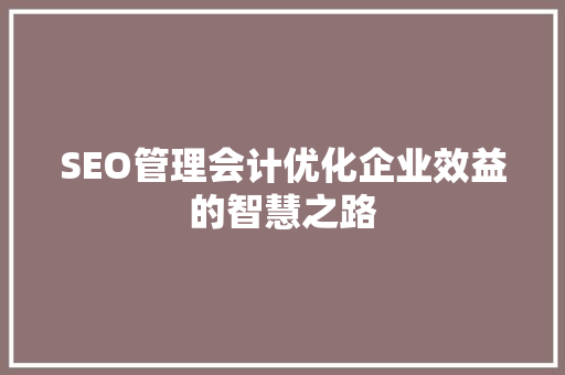 SEO管理会计优化企业效益的智慧之路