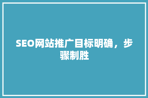 SEO网站推广目标明确，步骤制胜