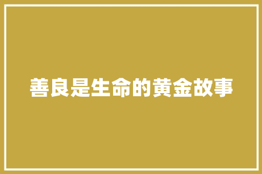 SEO网络营销推广方法助力企业提升品牌影响力与市场竞争力