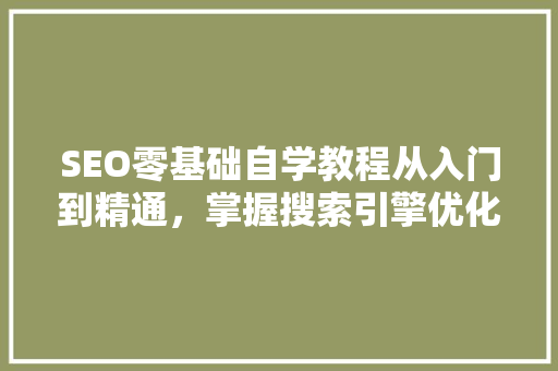 SEO零基础自学教程从入门到精通，掌握搜索引擎优化方法