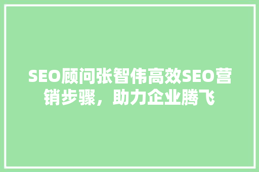SEO顾问张智伟高效SEO营销步骤，助力企业腾飞