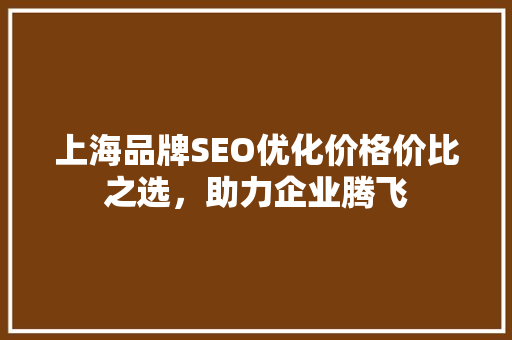 上海品牌SEO优化价格价比之选，助力企业腾飞