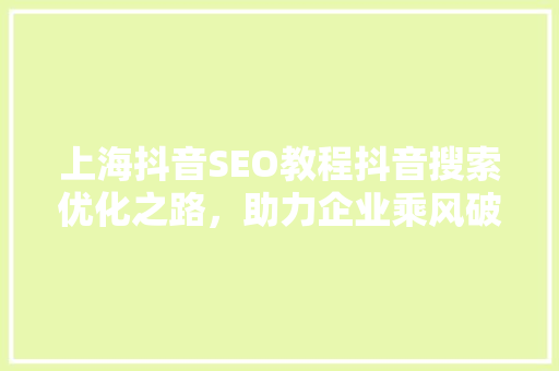 上海抖音SEO教程抖音搜索优化之路，助力企业乘风破浪