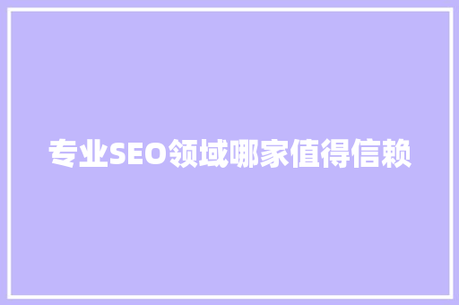 专业SEO领域哪家值得信赖
