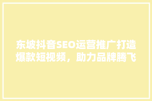 东坡抖音SEO运营推广打造爆款短视频，助力品牌腾飞