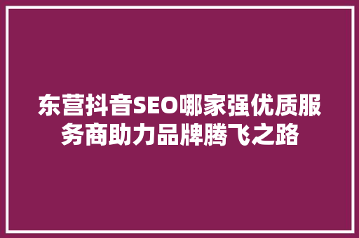 东营抖音SEO哪家强优质服务商助力品牌腾飞之路