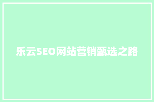 乐云SEO网站营销甄选之路