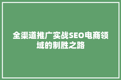 全渠道推广实战SEO电商领域的制胜之路