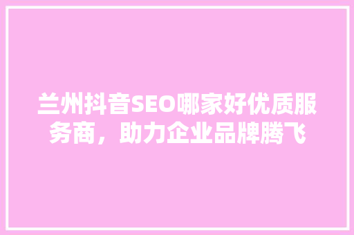 兰州抖音SEO哪家好优质服务商，助力企业品牌腾飞  第1张