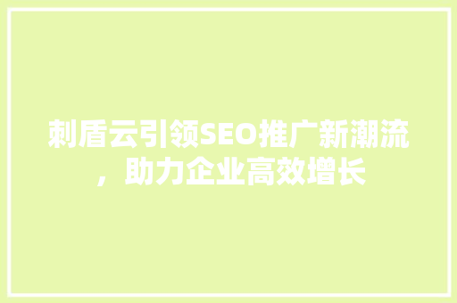 刺盾云引领SEO推广新潮流，助力企业高效增长