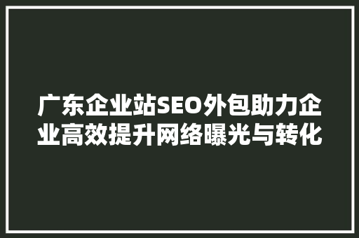 广东企业站SEO外包助力企业高效提升网络曝光与转化率  第1张
