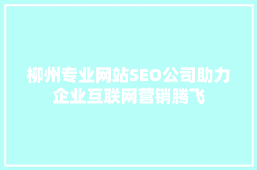 柳州专业网站SEO公司助力企业互联网营销腾飞