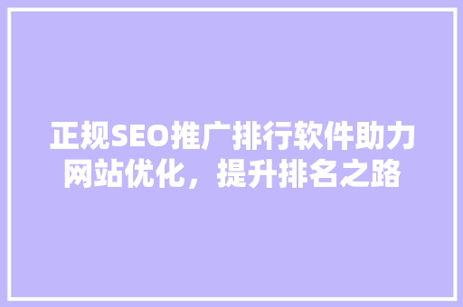 正规SEO推广排行软件助力网站优化，提升排名之路