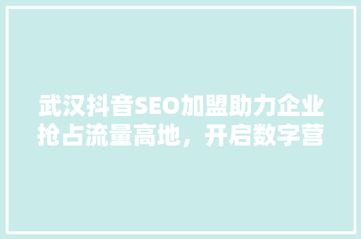 武汉抖音SEO加盟助力企业抢占流量高地，开启数字营销新篇章