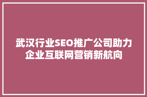 武汉行业SEO推广公司助力企业互联网营销新航向