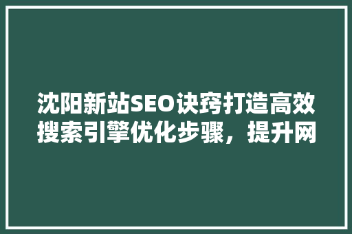 沈阳新站SEO诀窍打造高效搜索引擎优化步骤，提升网站排名